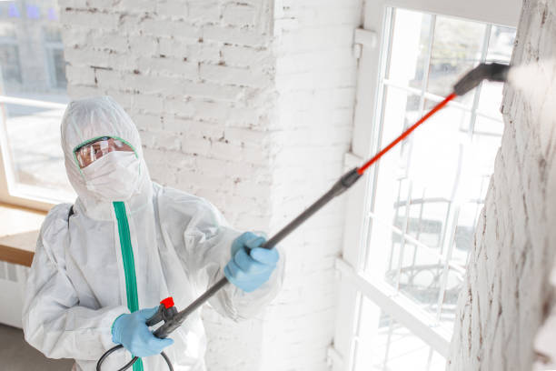 Best Emergency Mold Remediation  in Carrollton, OH