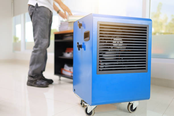 Trusted Carrollton, OH Mold Removal Experts