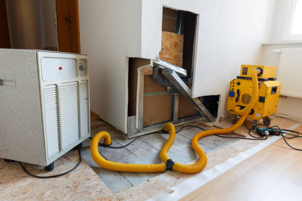 Best Mold Removal for HVAC Installations  in Carrollton, OH